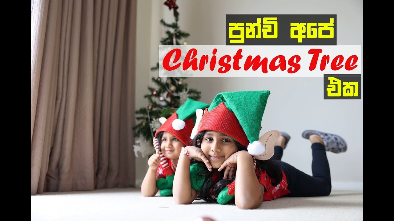 Making Christmas Tree I පුන්චි අපේ Christmas Tree එක I Made a Christmas Tree I Dec 2022