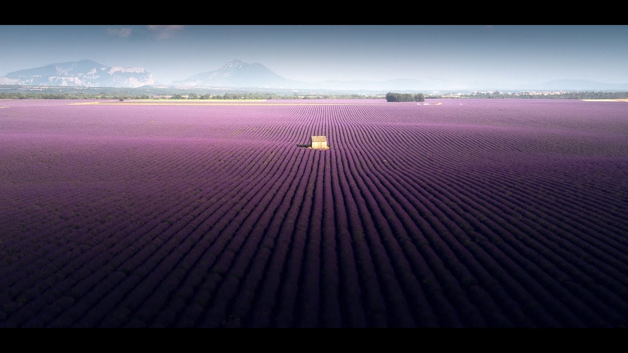 The lavender field of Valensole in South of France, DJI Mavic Air - Samir BELHAMRA @Grafixart_photo