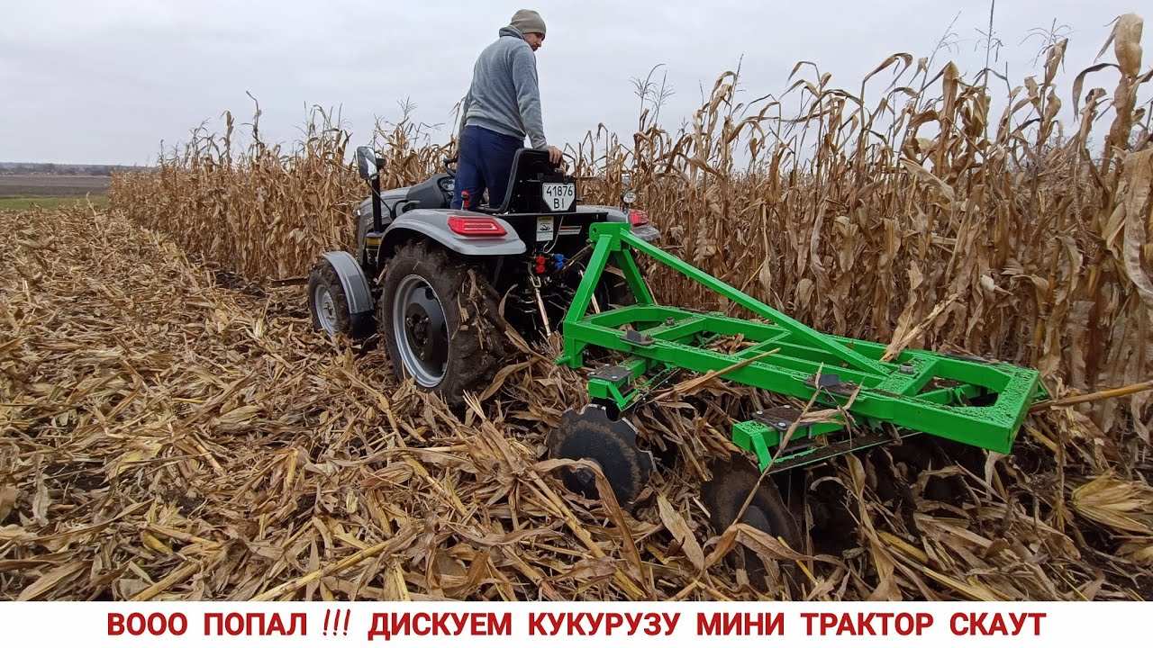 ВО ПОПАЛ! ДИСКУЕМ КУКУРУЗУ ТРАКТОРОМ СКАУТ ТУ 254 С ДИСКОВОЙ БОРОНОЙ БОМЕТ 1.5,БЕСПЛАТНОЕ УДОБРЕНИЕ 