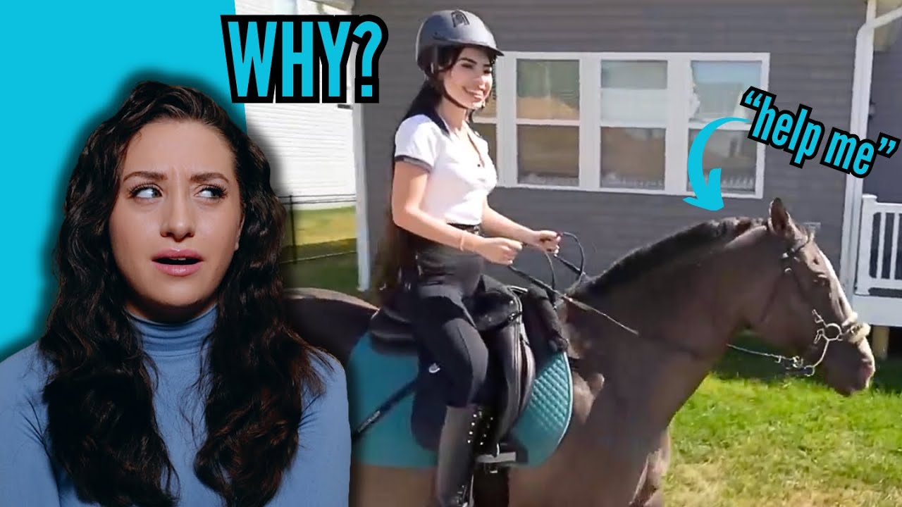 Equestrian Reacts To The Lion Family Irresponsibly Buying A Horse