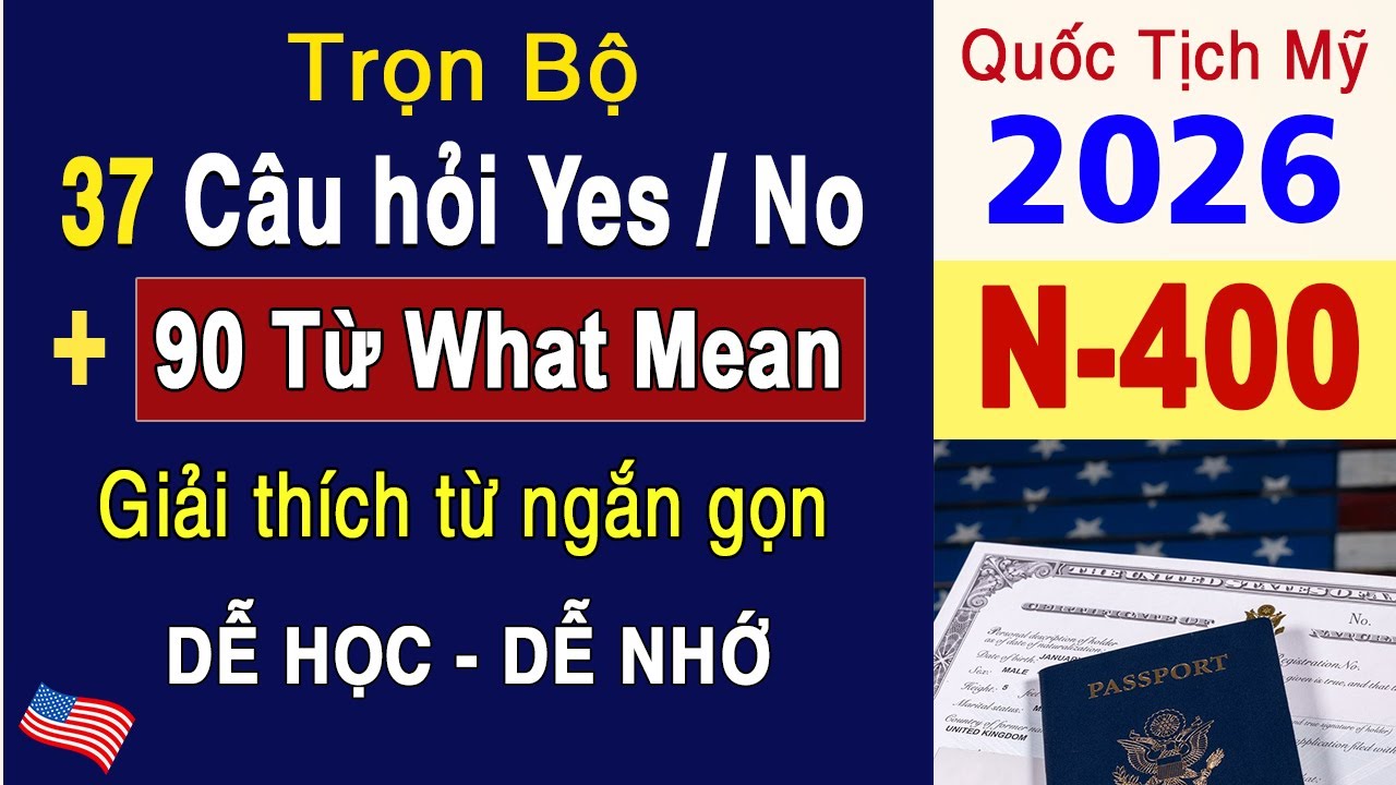 Полный комплект N400 — 37 предложений с ответами «да/нет» и 90 словарных слов, содержащих фразу «...
