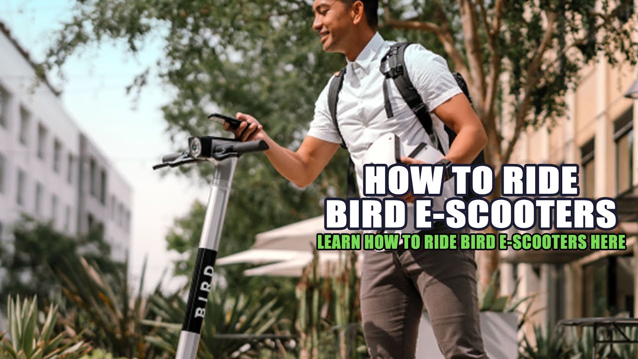How to Ride Bird E-Scooters