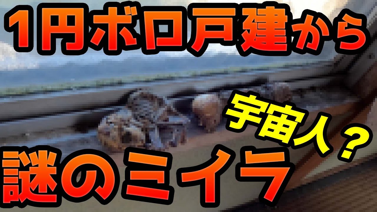 -60万円の物件で謎のミイラ発見　Alien mummy