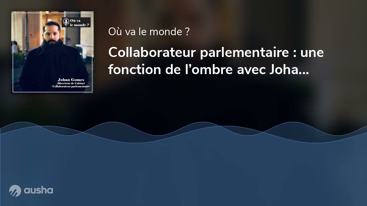Collaborateur parlementaire : une fonction de l’ombre avec Johan Gomes