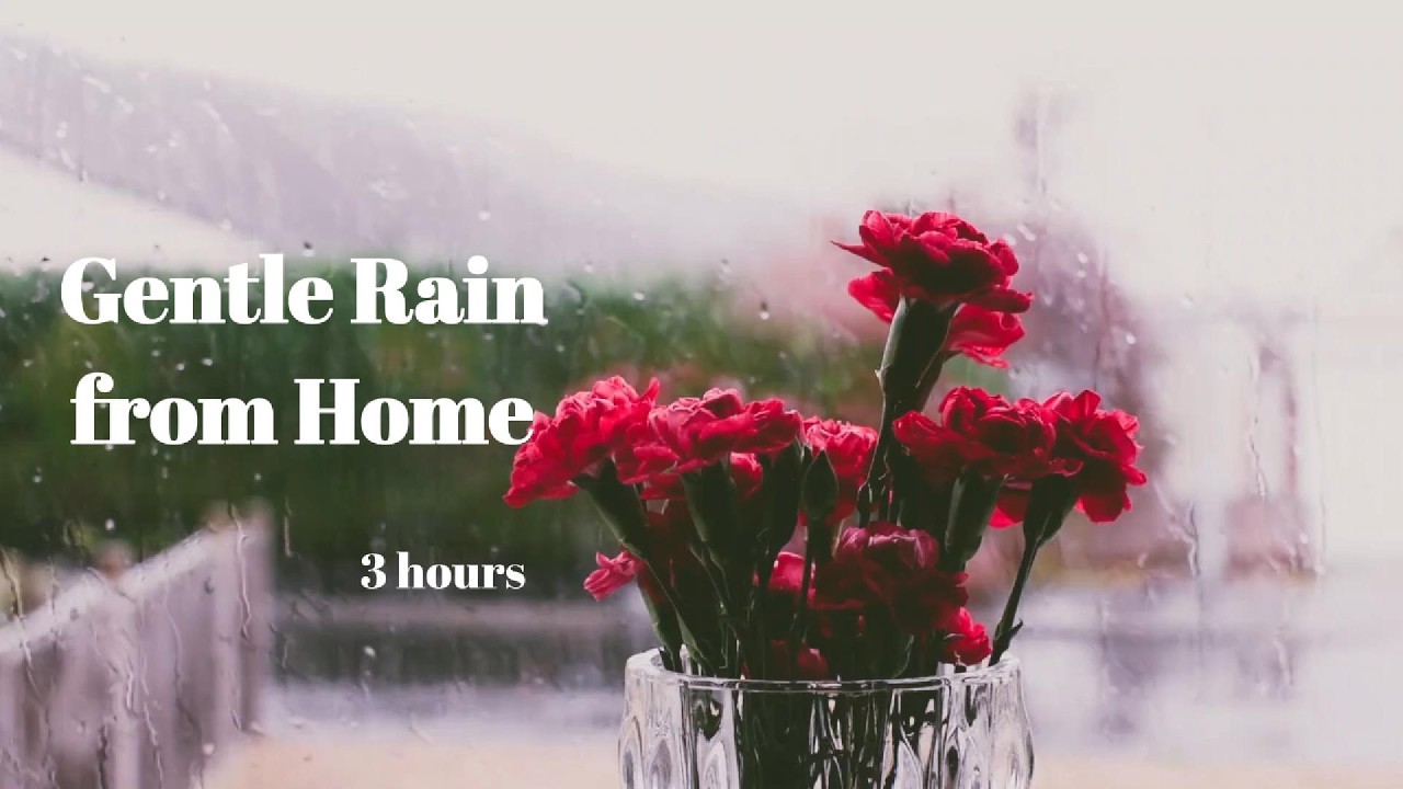 Gentle Rain from Home