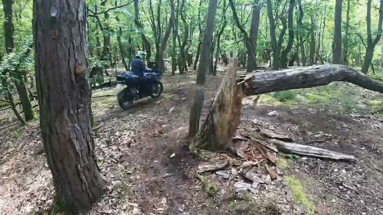 TET France section 7. BMW 1200 GS and KTM 390 Adventure offroad