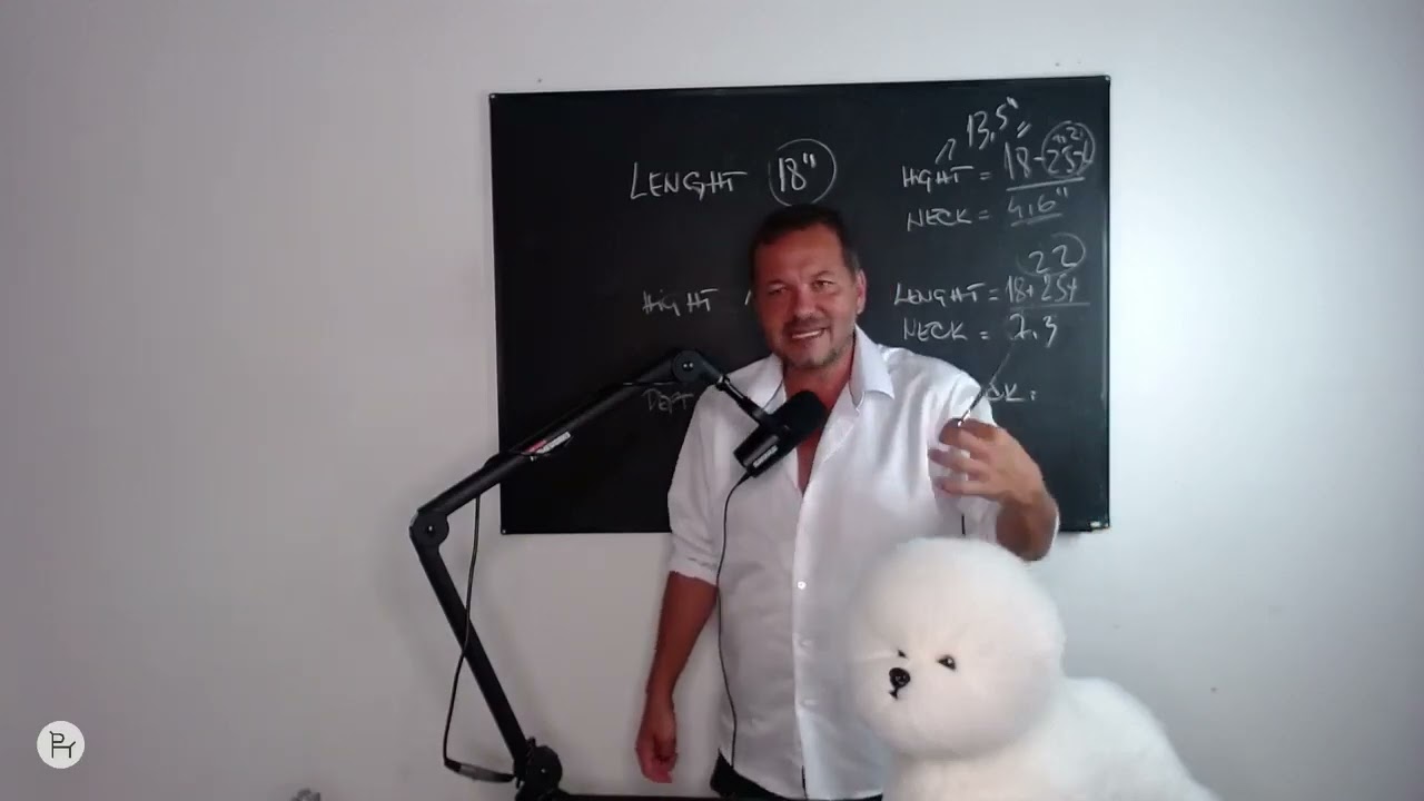 Bichon Frise Grooming Mastery Day 3 Sasha Riess