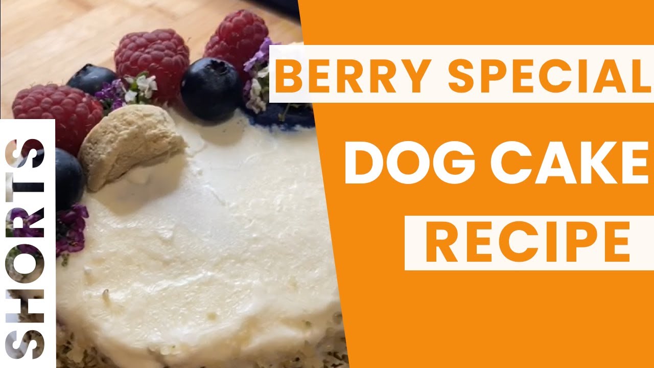 I make a delicious dog Birthday cake (step-by-step) 🎂🐶