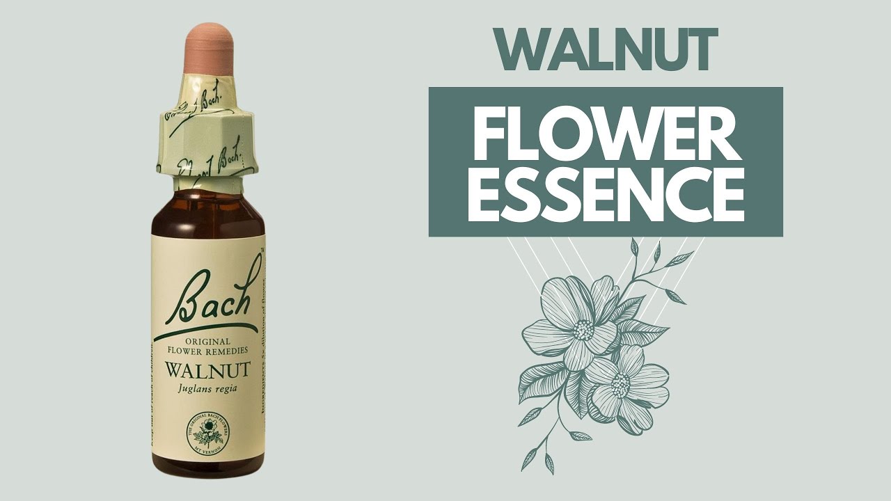 Walnut | Bach Flower Essence | Flower Essence Therapy | Lorena Espiga Wellness