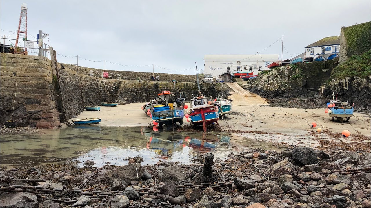 Coastal Foraging - Cockles, Scallops, Mussels, Whelks and Crabs