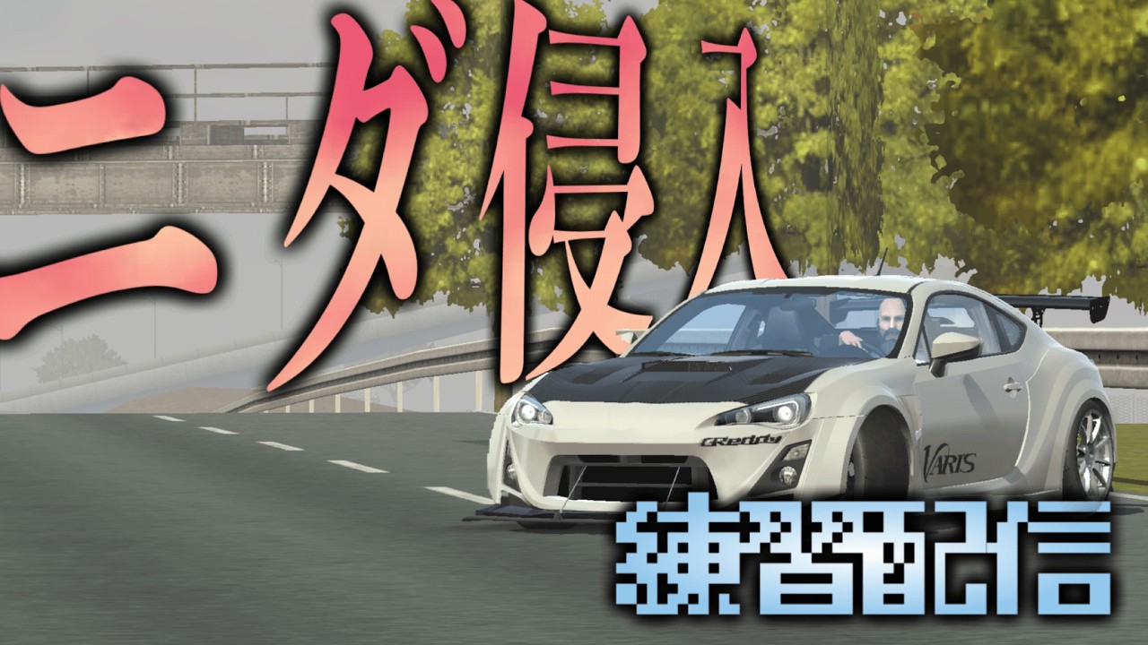【カーパーキング】ニダ侵入をできるようになろうぜ