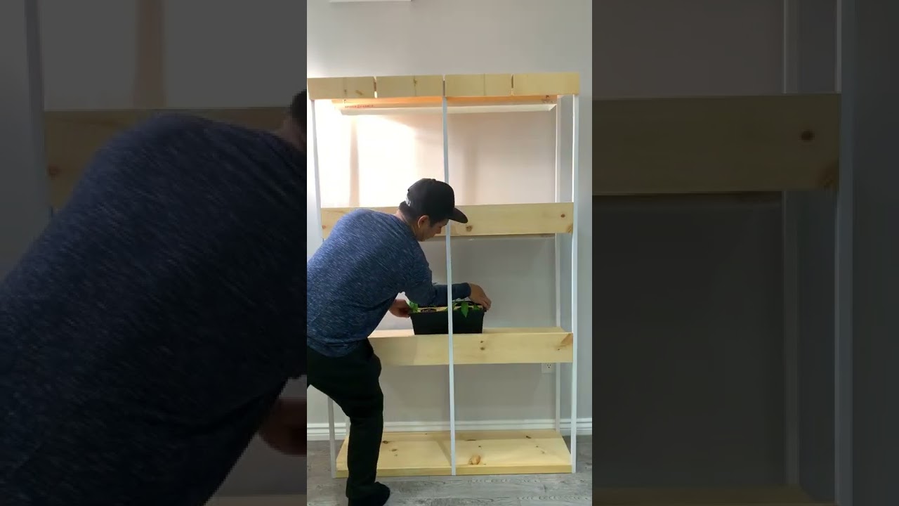 DIY Grow Stand for Indoor Plants | With Spider Farmer SF600 LED Grow light