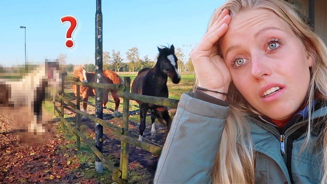Wéér verdrietig nieuws en grote verandering voor stal... 😢