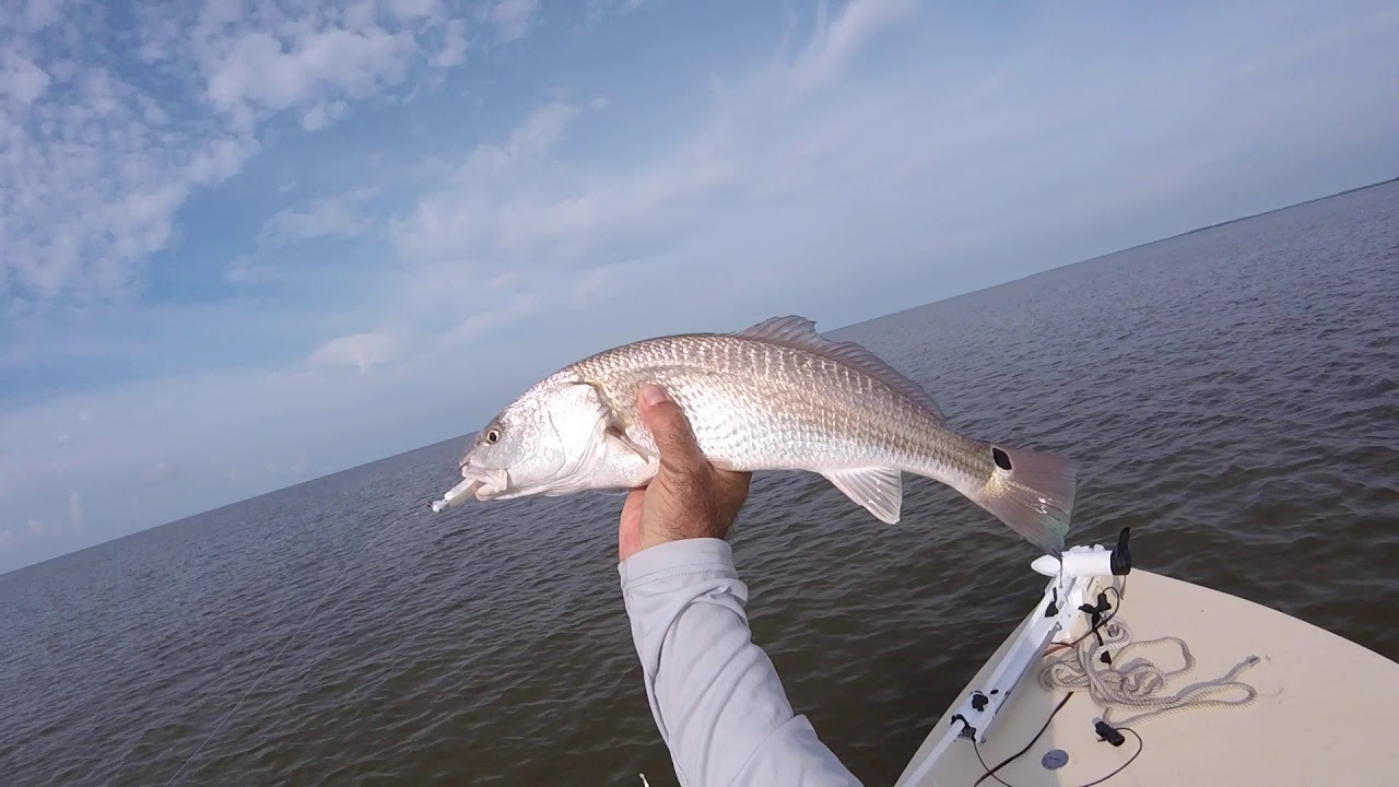 Everglades 10,000 Islands Fishing