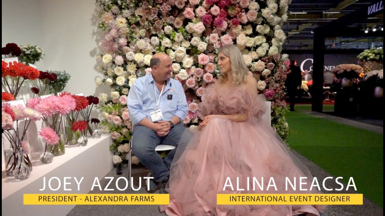 Alina Neacsa's Interview with Joey Azout - President of Alexandra Farms