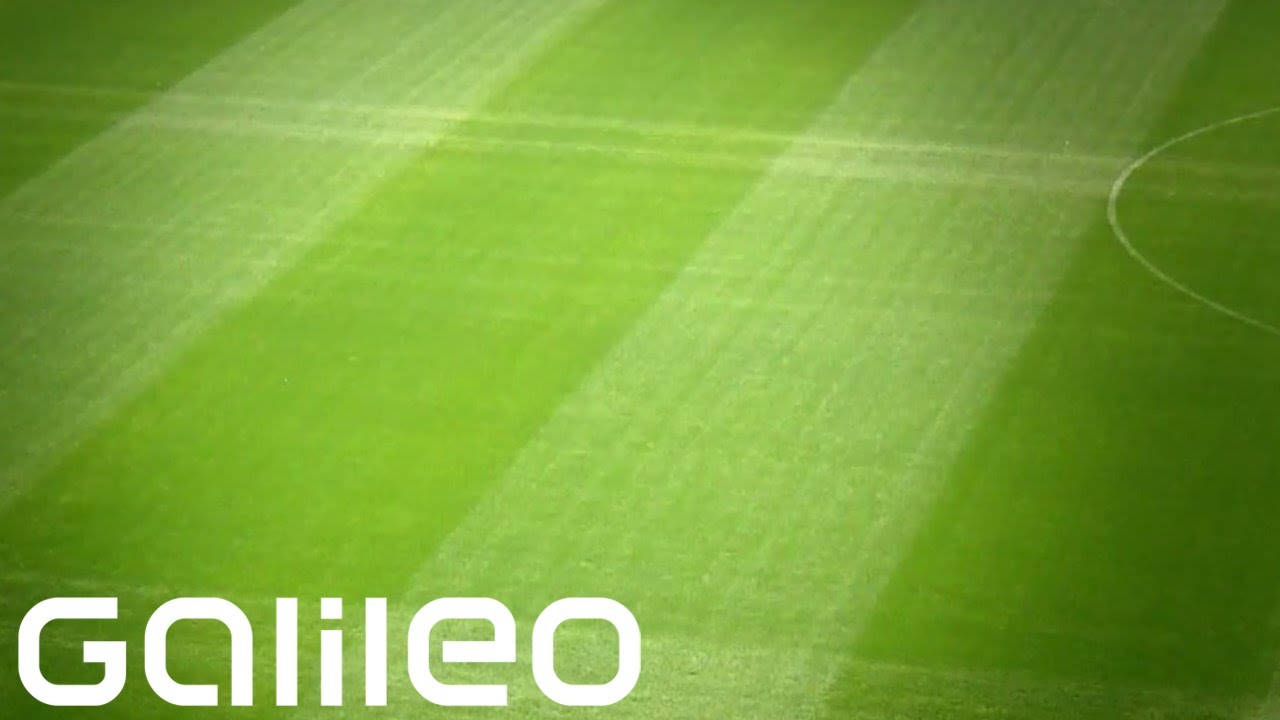Weg des Fußballrasens | Galileo