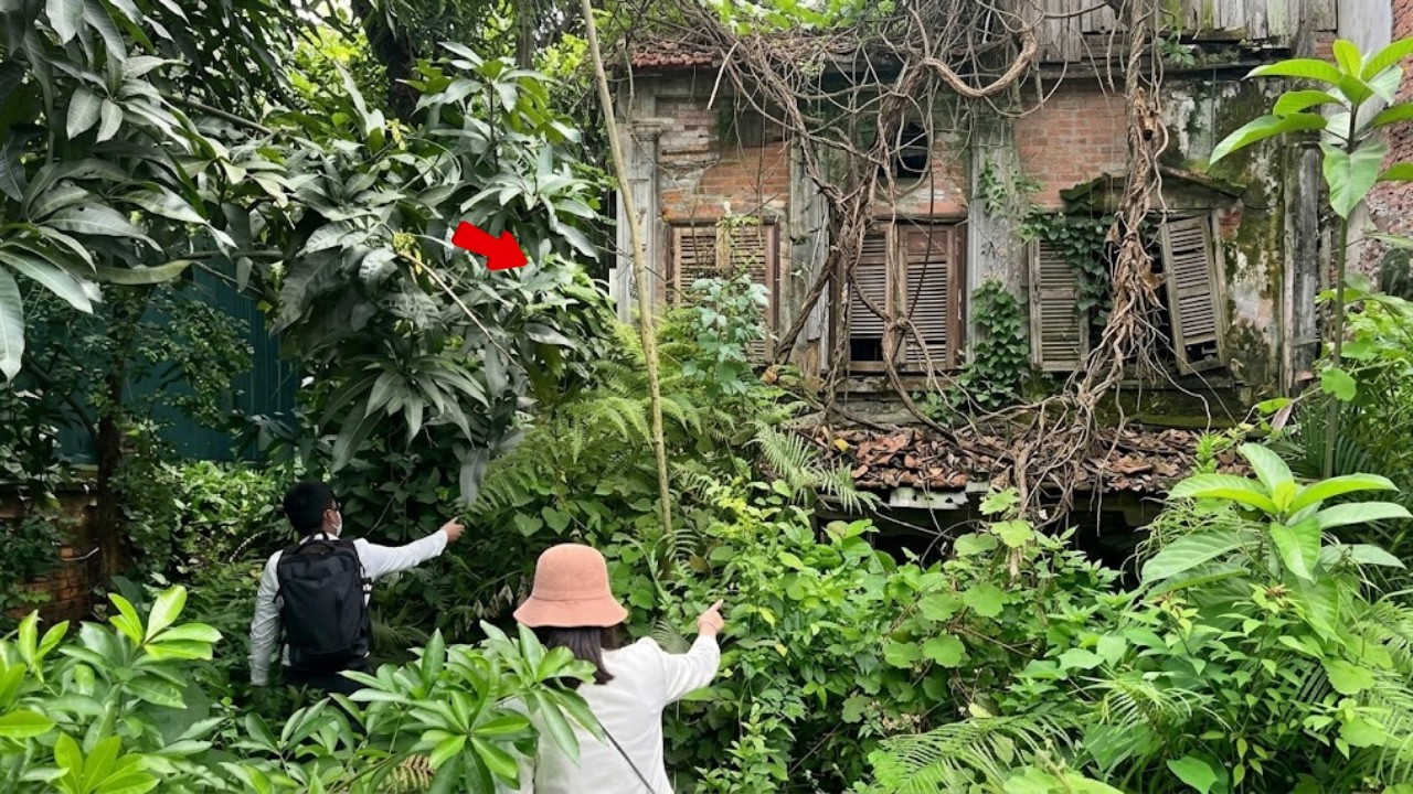 Everyone Said This Couple Wasted &euro;4.500 on a Ruined House &mdash; They Were Wrong