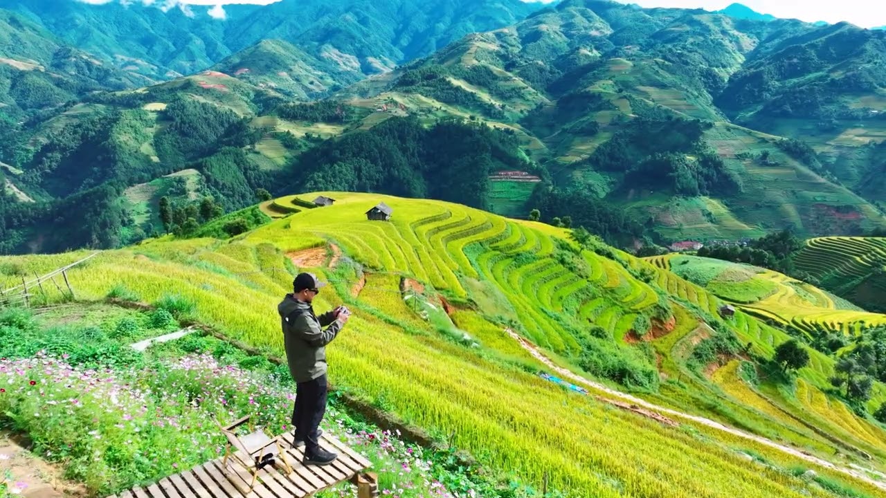 ทริปบินโดรนถ่ายภาพนาขั้นบันไดที่สวยที่สุดในเวียดนาม 🇻🇳  Mu Cang Chai Vietnam Travel