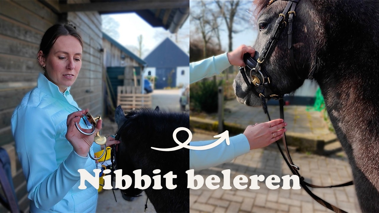Het begin van Nibbit’s opleiding | Eerste hoofdstel & bit