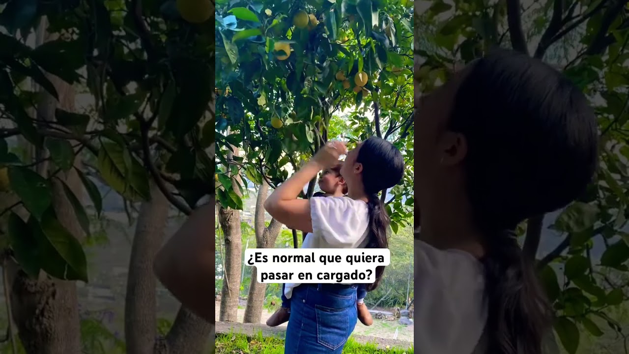 El poder del apego! #apegoseguro #maternidadereal #maternidadconsciente #sermama
