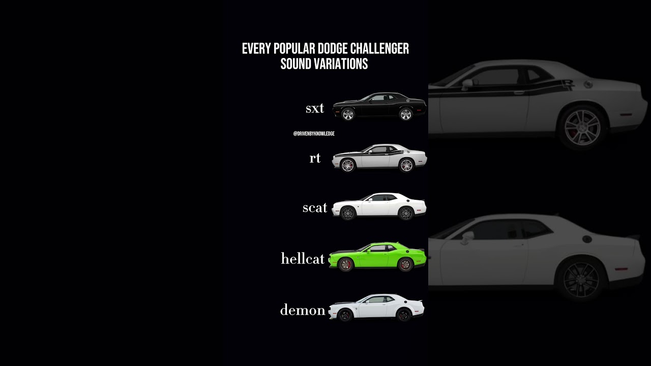 Every popular dodge challenger sound variations #hellcat #rt #demon #scatpack