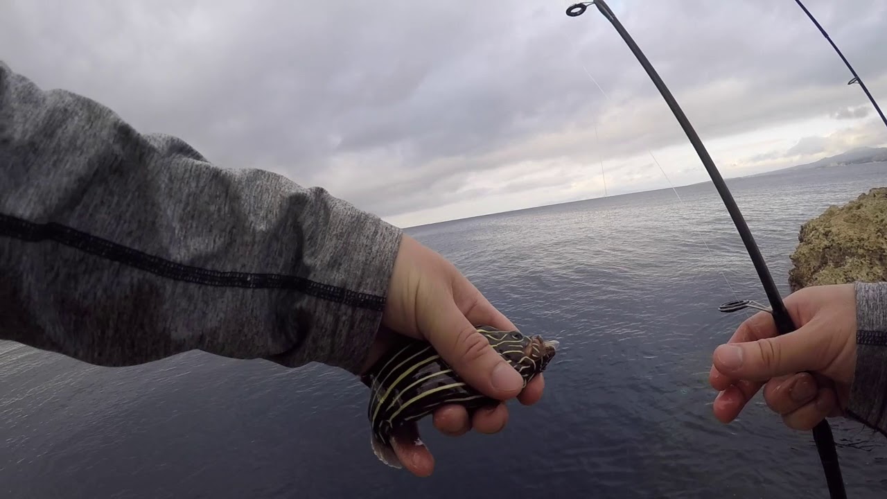 Cape Maeda Fishing Okinawa Japan 2019