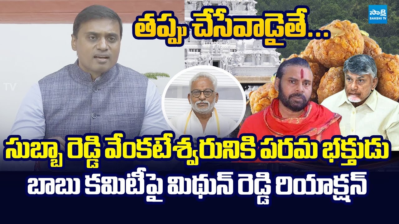 MP Mithun Reddy Comments On Chandrababu Lies | Tirumala Laddu Ghee Case | YV Subba Reddy