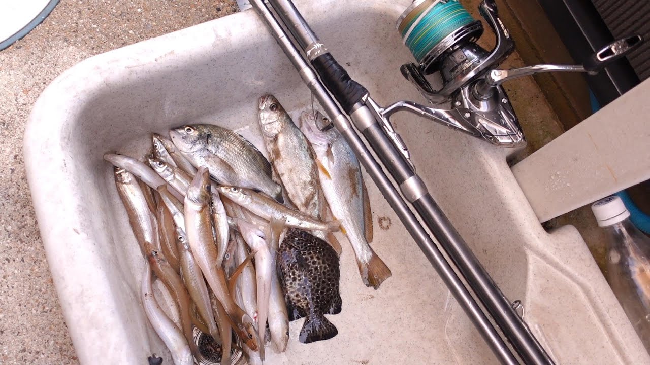 久しぶりに渥美半島の表浜でキスの投げ釣り！