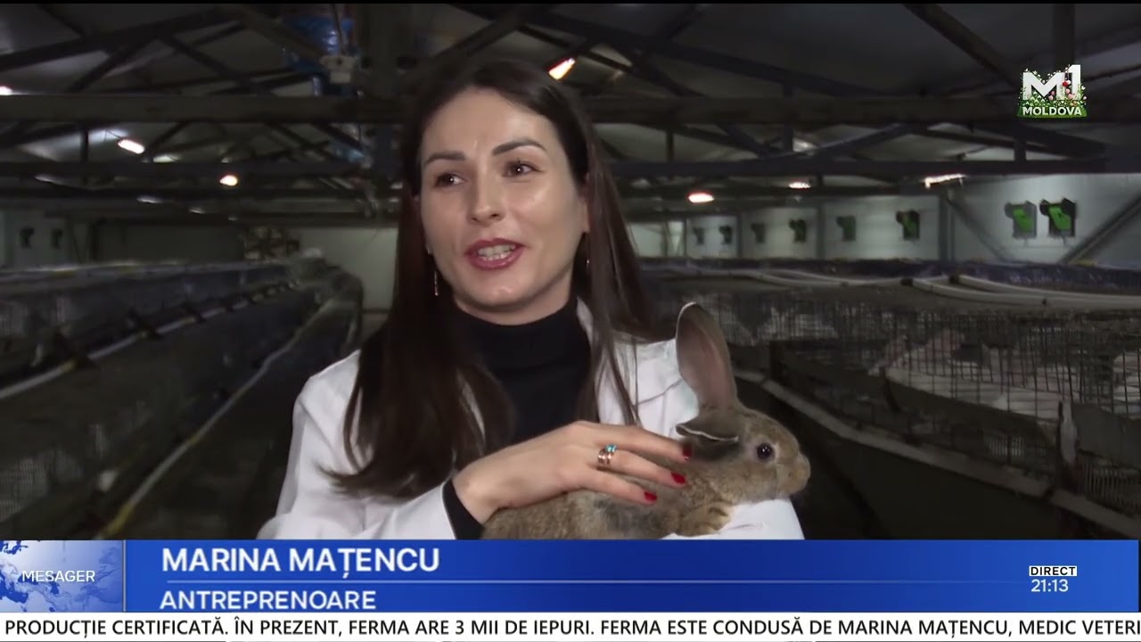 O fermă cu 3.000 de iepuri și nutreț propriu: model de producție integrată în R. Moldova