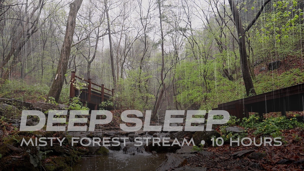 Sooting Rain Sounds for Deep Sleep That Comes Gently [10 HOURS] | Misty Forest Stream and Rock Path