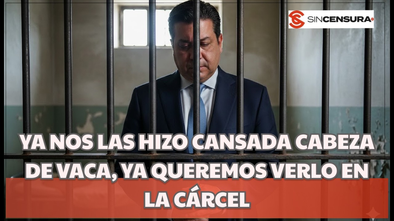 CABEZA DE VACA NO es un PERSEGUIDO POLÍTICO es un CR1M1N4L, EXCEPTO para JULIO SCHERER