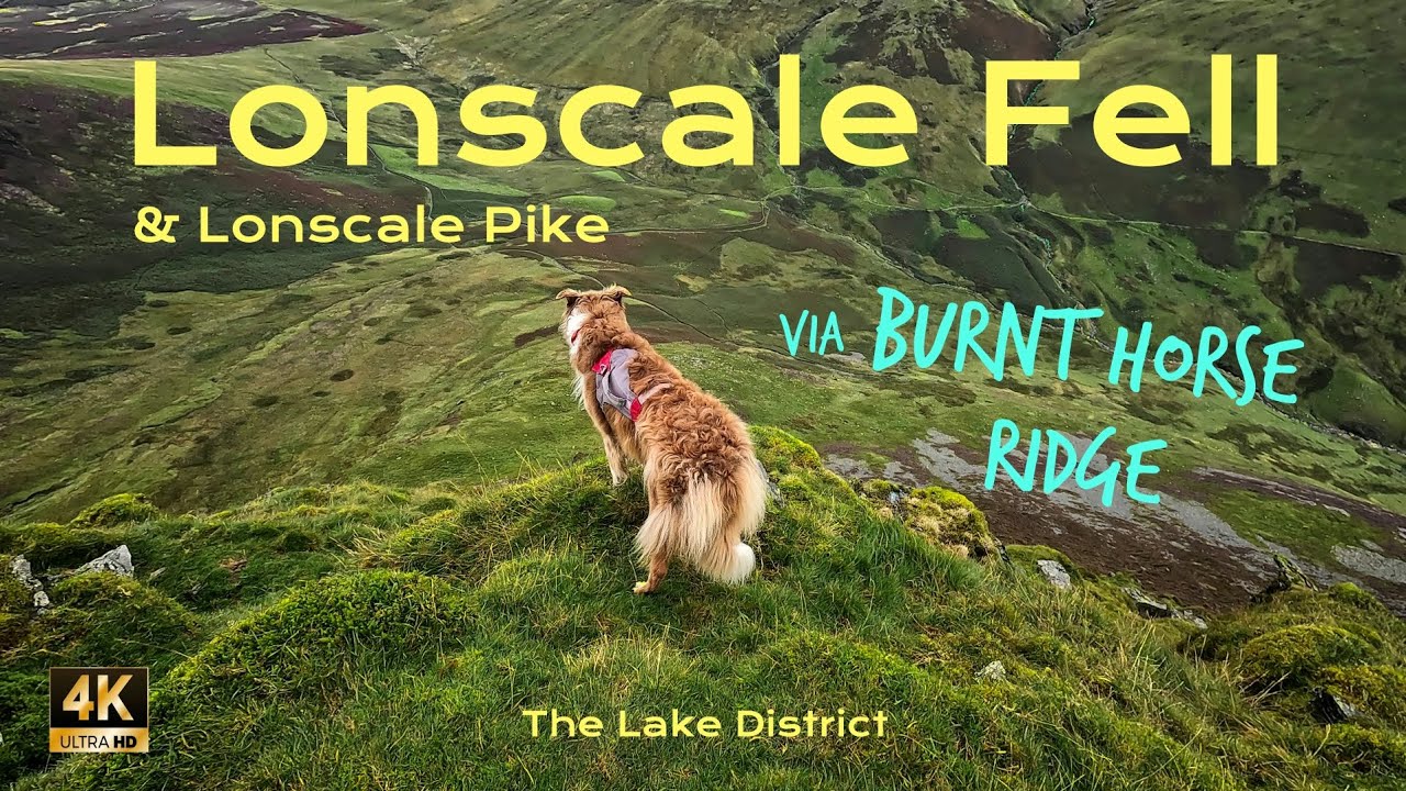 Lonscale Fell & Lonscale Pike via Burnt Horse Ridge (The Lake District)