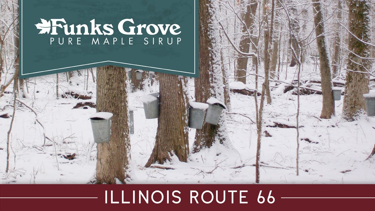 Illinois Route 66 Attractions: Funks Grove Pure Maple Sirup