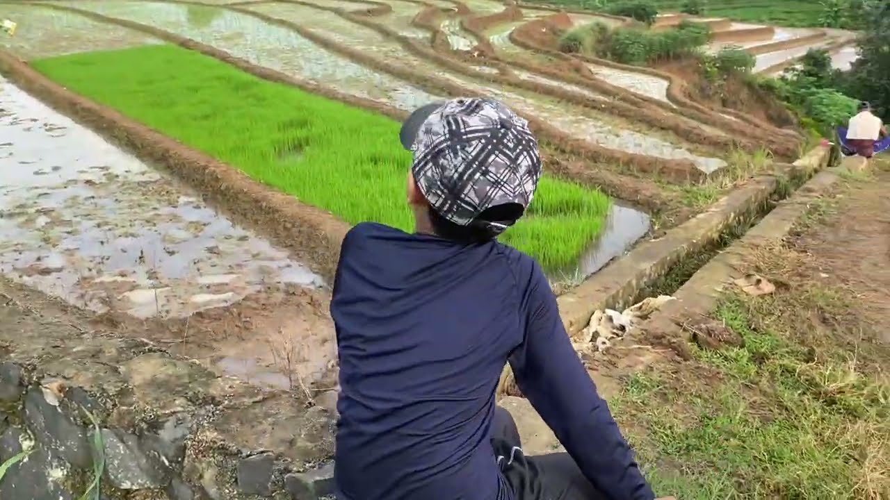 Main Ke Sawah Bertingkat di Bantul Metro Selatan 