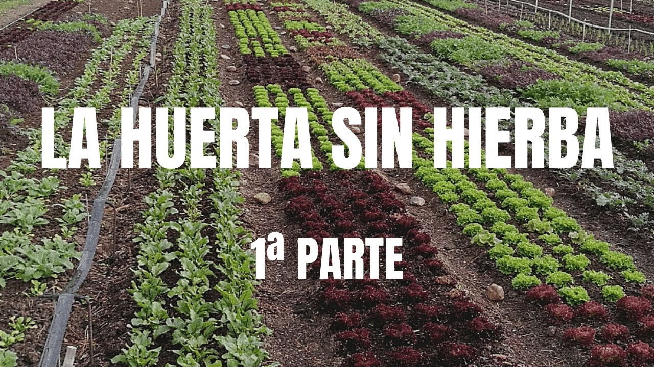 La Huerta Sin 