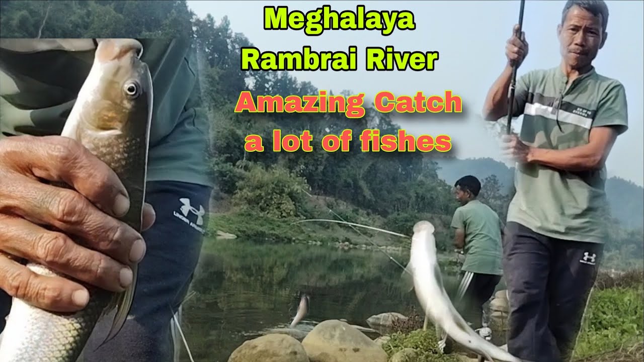 4 Hooks Fishing Technique | Unbelievable Caught A Lot Of Fish 🐠🐟|   River Fishingvideo