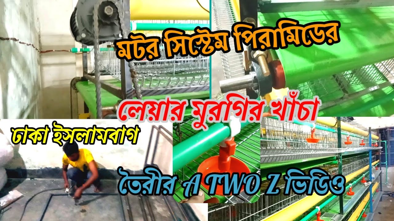 মটর সিস্টেম পিরামিডের লেয়ার মুরগির খাঁচা