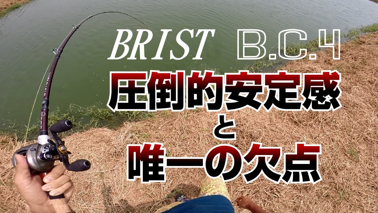Fishman BRIST BC4シリーズ　圧倒的安定感と唯一の欠点