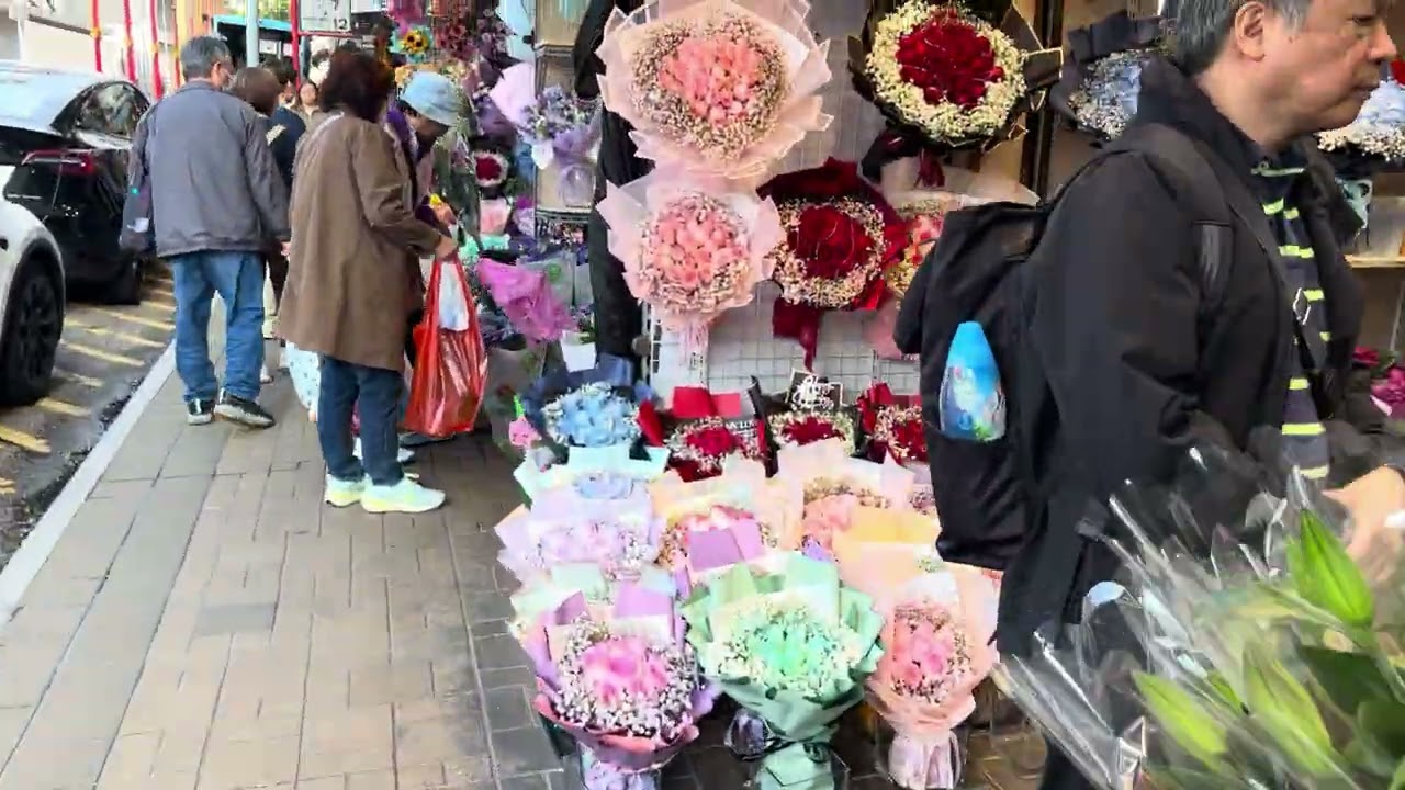旺角花墟實時狀況話你知｜ 最新花款及價錢  2026 🪴🌷🌹🌸🌺🌼🌻💐🪷#旺角 #花 