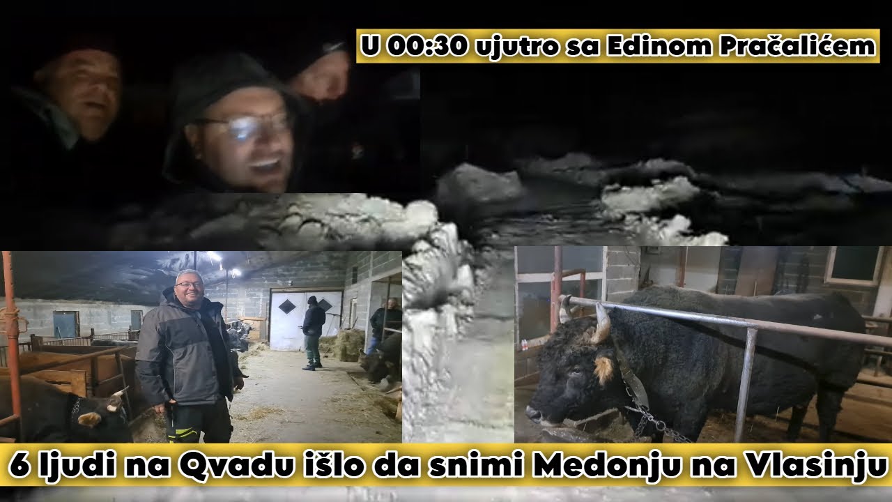 U 00:30 sati sa Edinom Pračalićem 6 ljudi na Qvadu išlo da snimi Medonju Balkanca
