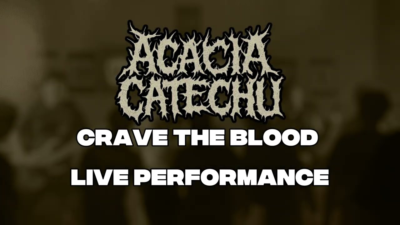Crave the blood - ACACIA CATECHU [LIVE PERFORMANCE] METALCORE SONG KWAE