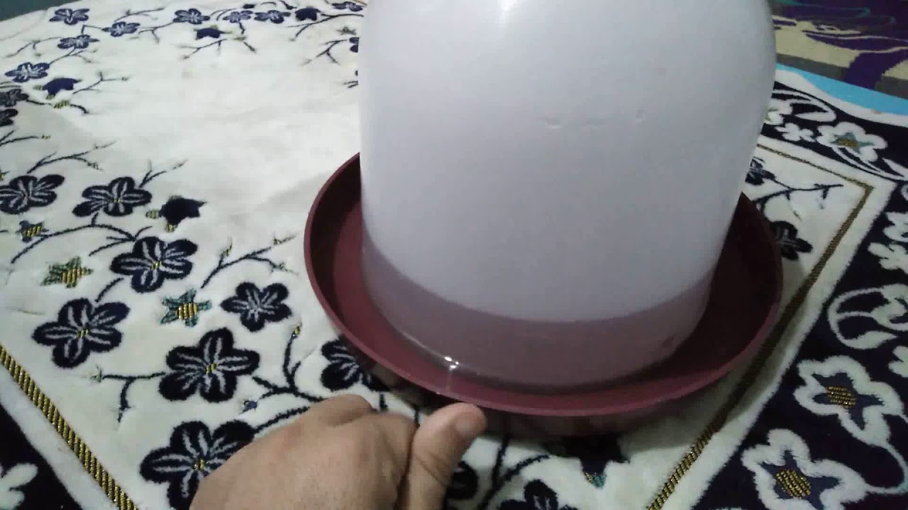 سقاية مياه جميلة للنحل نظيفة وغير مكلفة