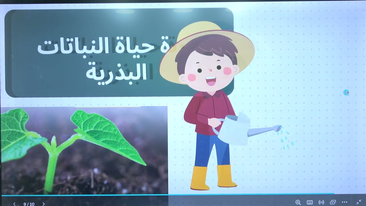 علوم /رابع / الوحدة الثانية / تكاثر الكائنات الحية ودورات حياتها / تكاثر النباتات البذرية