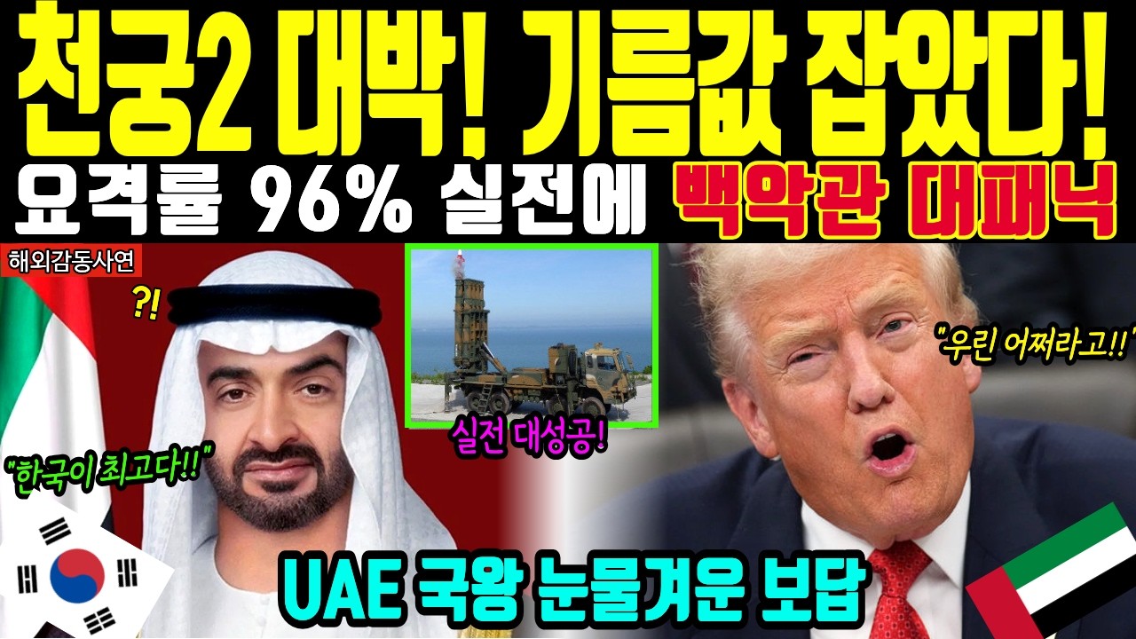 [해외감동사연] 미국도 굴복한 K방산 '천궁 2'의 위력! UAE 국왕 오열하며 한국에 원유 보답한 사연
