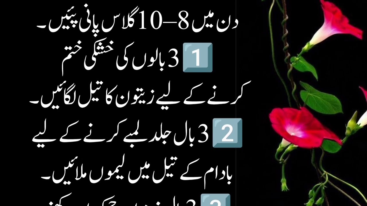 Motivational Quotes About life | Rumi Quotes | Hikmat ke baatin | Sunheri Haroof | Golden Word 