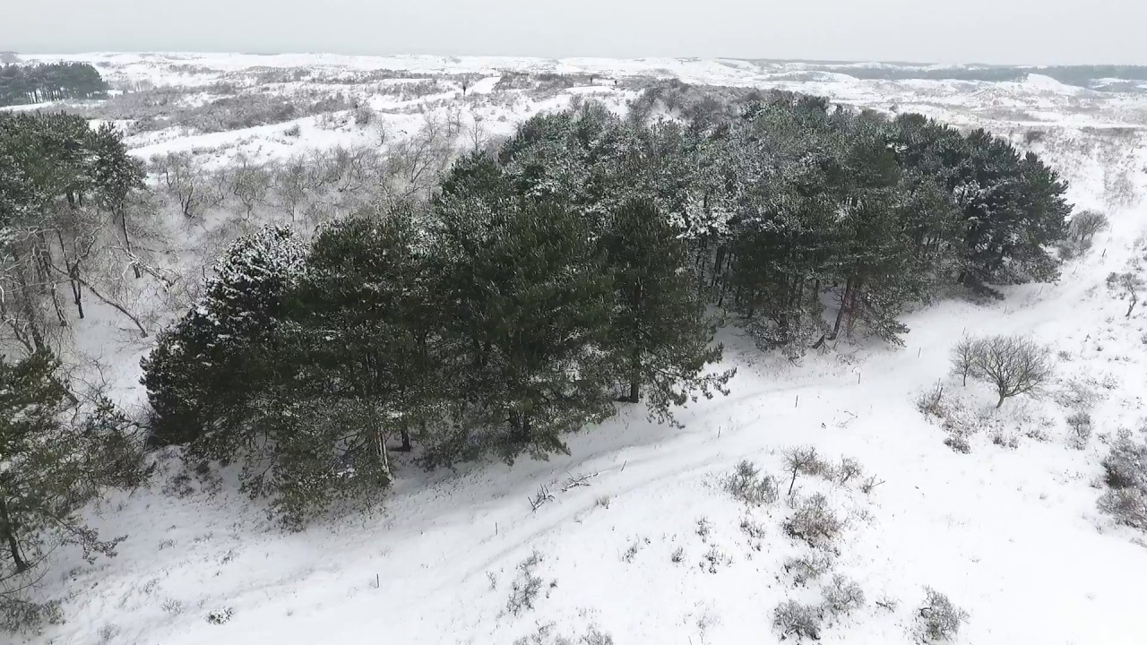 Besneeuwd Meijendel vanuit de lucht