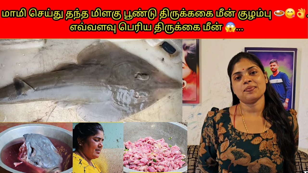 மாமி செய்து தந்த மிளகு பூண்டு திருக்ககை மீன் குழம்பு 🍛😋👌..எவ்வளவு பெரிய திருக்கைமீன் 😱../PKR family 