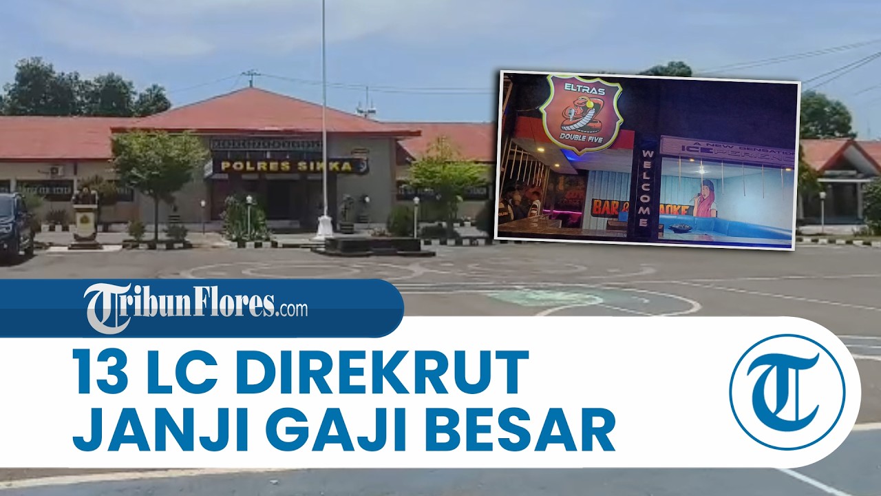 Hasil Pemeriksaan, 13 LC di Pub Eltras Maumere Direkrut dengan Janji Gaji Besar