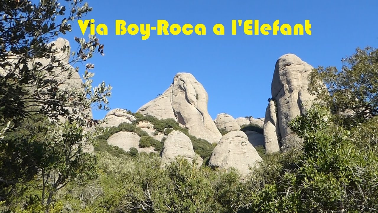 Via Boy Roca a la Trompa de l'Elefant (24.10.2021)