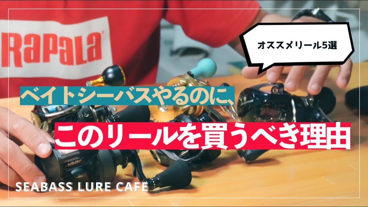 【ベイトシーバス】ベイトリールの選び方！これを見れば大丈夫です！【ビッグベイト】【ベイトフィネス】